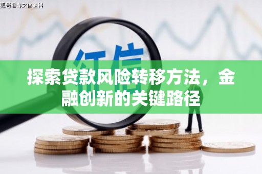 那曲探索贷款风险转移方法，金融创新的关键路径