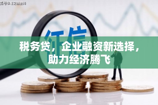 那曲税务贷，企业融资新选择，助力经济腾飞
