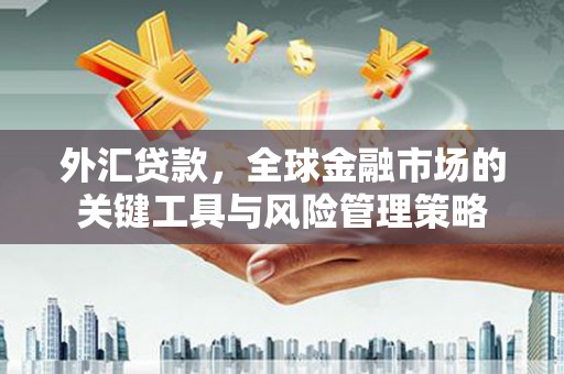 那曲外汇贷款，全球金融市场的关键工具与风险管理策略