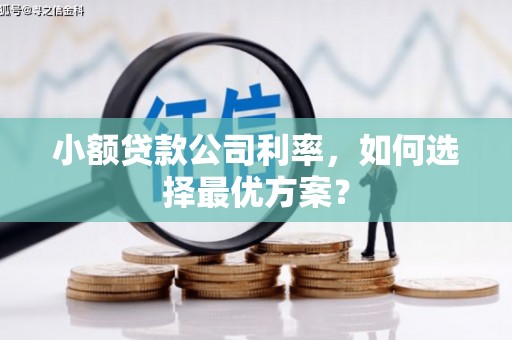 那曲小额贷款公司利率，如何选择最优方案？