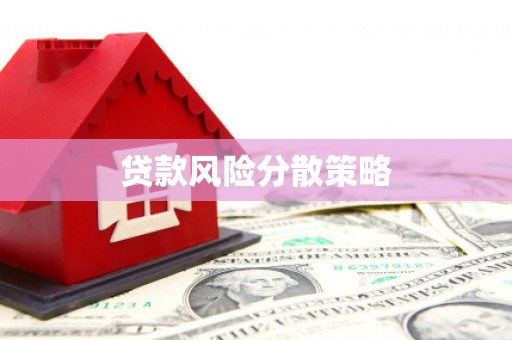 那曲贷款风险分散策略