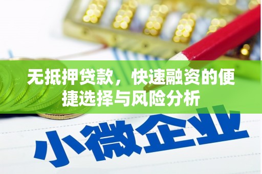 那曲无抵押贷款，快速融资的便捷选择与风险分析