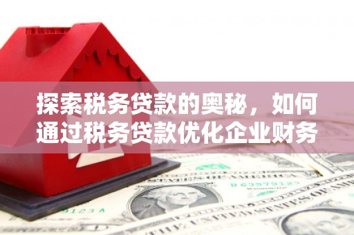 那曲探索税务贷款的奥秘，如何通过税务贷款优化企业财务
