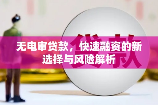 那曲无电审贷款，快速融资的新选择与风险解析