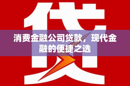 那曲消费金融公司贷款，现代金融的便捷之选