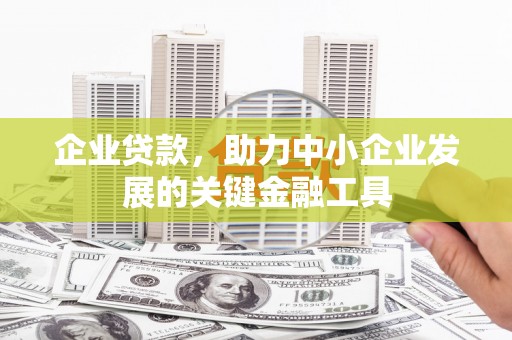 那曲企业贷款，助力中小企业发展的关键金融工具