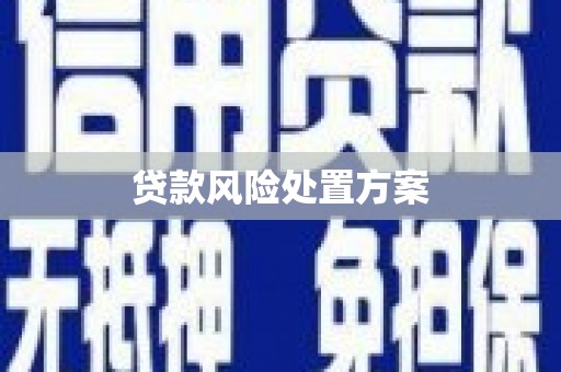 那曲贷款风险处置方案