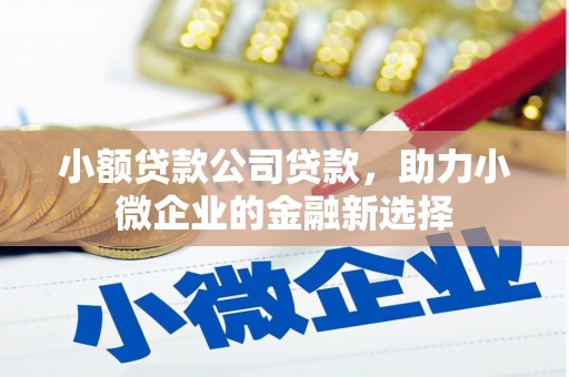 那曲小额贷款公司贷款，助力小微企业的金融新选择