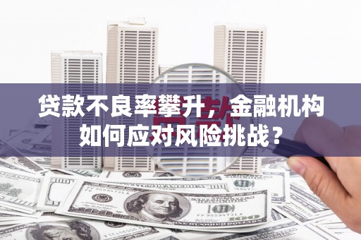 那曲贷款不良率攀升，金融机构如何应对风险挑战？