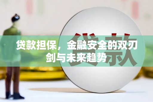 那曲贷款担保，金融安全的双刃剑与未来趋势