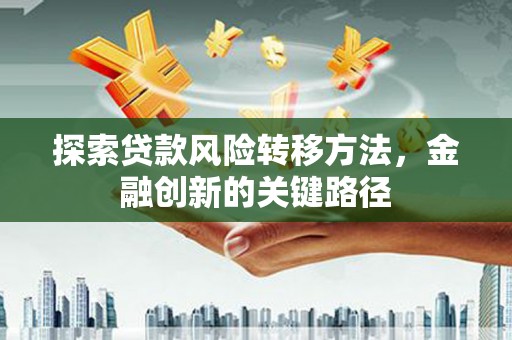 那曲探索贷款风险转移方法，金融创新的关键路径