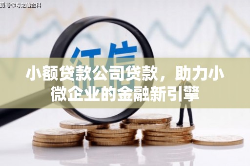 那曲小额贷款公司贷款，助力小微企业的金融新引擎