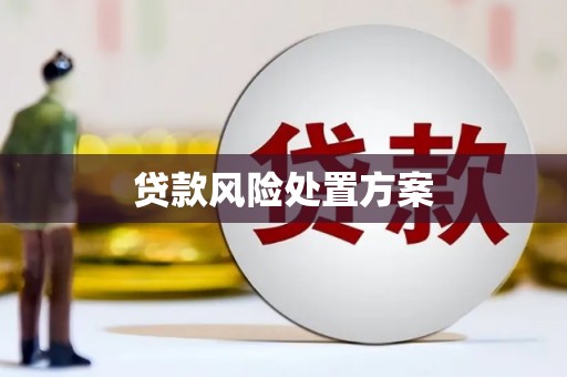 那曲贷款风险处置方案