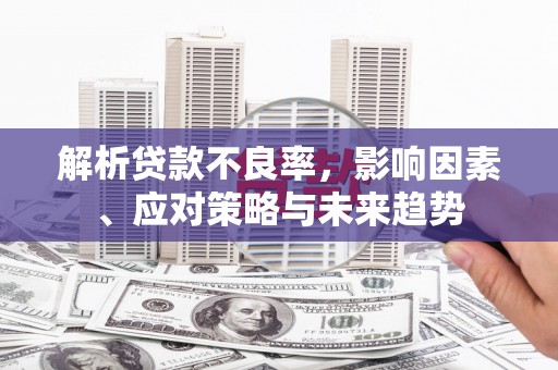 那曲解析贷款不良率，影响因素、应对策略与未来趋势