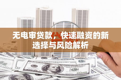 那曲无电审贷款，快速融资的新选择与风险解析