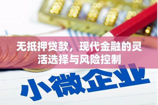 那曲无抵押贷款，现代金融的灵活选择与风险控制