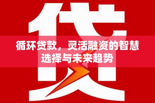 那曲循环贷款，灵活融资的智慧选择与未来趋势