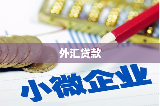 那曲外汇贷款