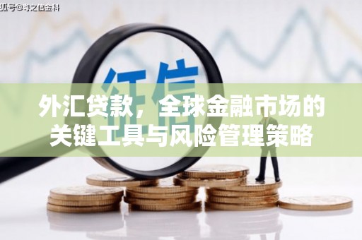那曲外汇贷款，全球金融市场的关键工具与风险管理策略