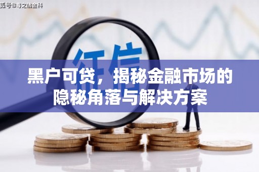那曲黑户可贷，揭秘金融市场的隐秘角落与解决方案