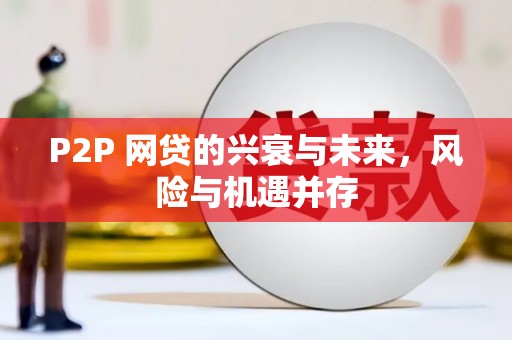 那曲P2P 网贷的兴衰与未来，风险与机遇并存