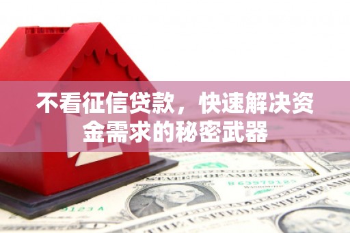 那曲不看征信贷款，快速解决资金需求的秘密武器