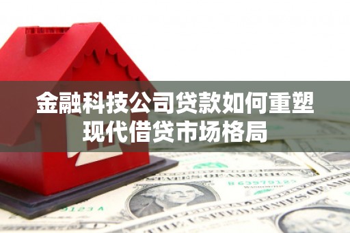 那曲金融科技公司贷款如何重塑现代借贷市场格局