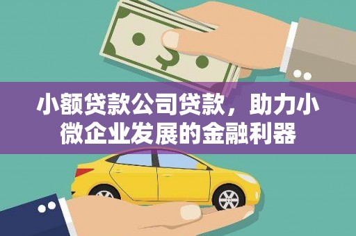 那曲小额贷款公司贷款，助力小微企业发展的金融利器