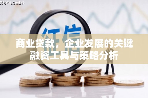 那曲商业贷款，企业发展的关键融资工具与策略分析
