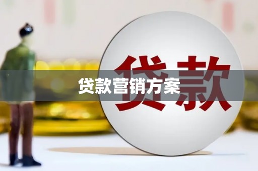 那曲贷款营销方案