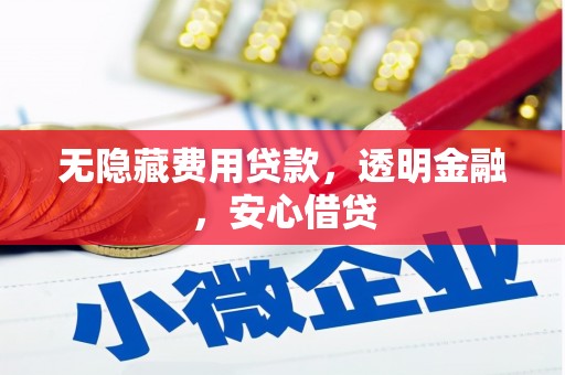 那曲无隐藏费用贷款，透明金融，安心借贷