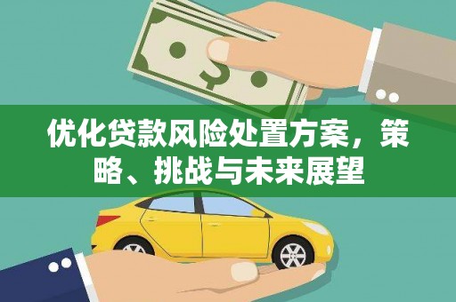那曲优化贷款风险处置方案，策略、挑战与未来展望
