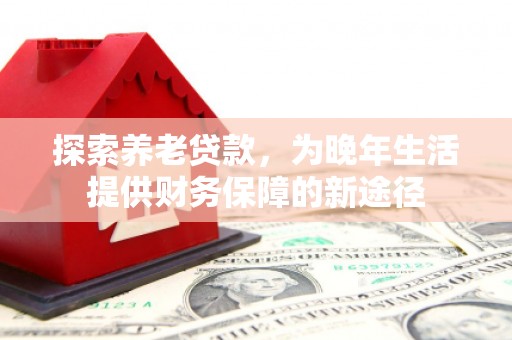 那曲探索养老贷款，为晚年生活提供财务保障的新途径
