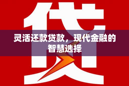 那曲灵活还款贷款，现代金融的智慧选择