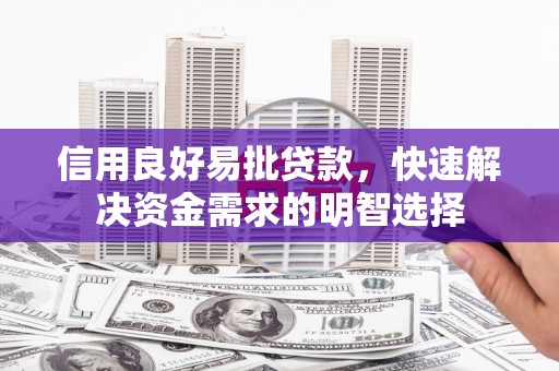 那曲信用良好易批贷款，快速解决资金需求的明智选择