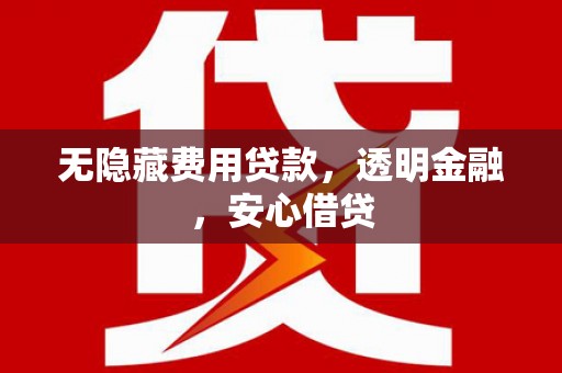 那曲无隐藏费用贷款，透明金融，安心借贷