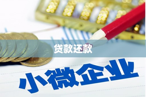 那曲贷款还款