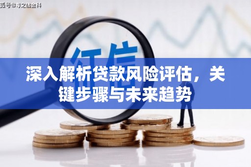 那曲深入解析贷款风险评估，关键步骤与未来趋势