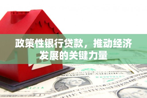 那曲政策性银行贷款，推动经济发展的关键力量