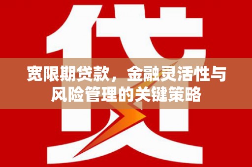 那曲宽限期贷款，金融灵活性与风险管理的关键策略