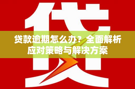 那曲贷款逾期怎么办？全面解析应对策略与解决方案