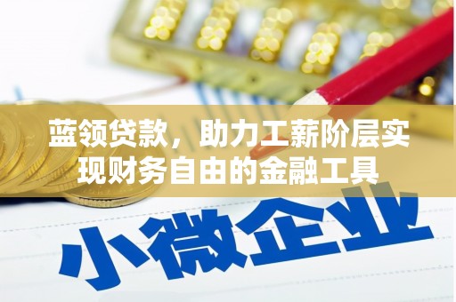 那曲蓝领贷款，助力工薪阶层实现财务自由的金融工具