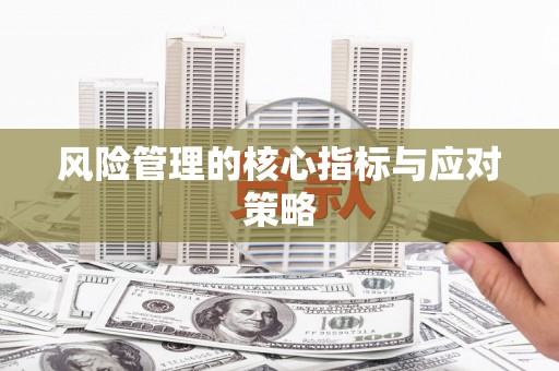 那曲风险管理的核心指标与应对策略