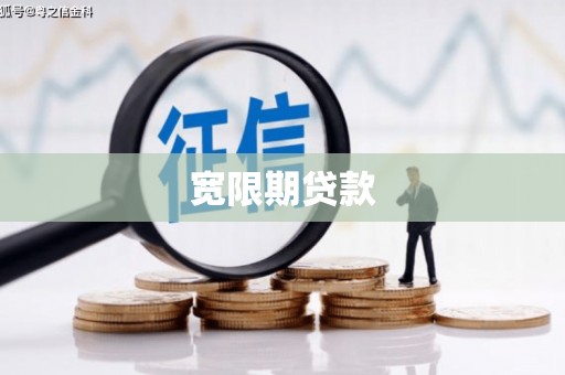 那曲宽限期贷款