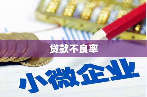 那曲贷款不良率