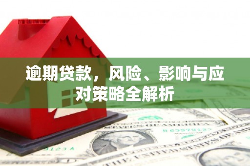 那曲逾期贷款，风险、影响与应对策略全解析