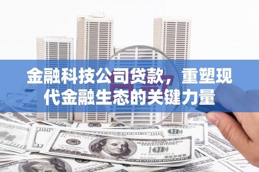 那曲金融科技公司贷款，重塑现代金融生态的关键力量