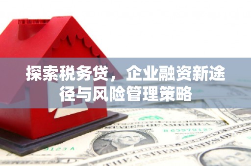 那曲探索税务贷，企业融资新途径与风险管理策略