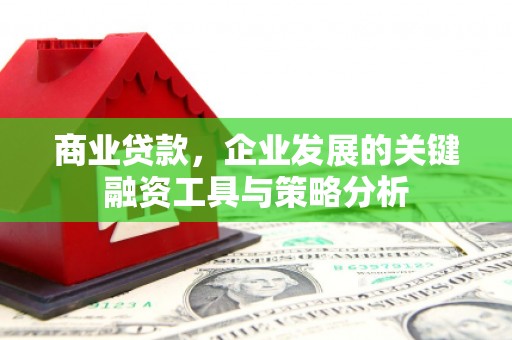 那曲商业贷款，企业发展的关键融资工具与策略分析