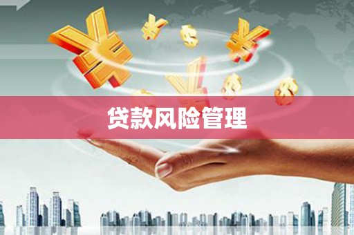那曲贷款风险管理